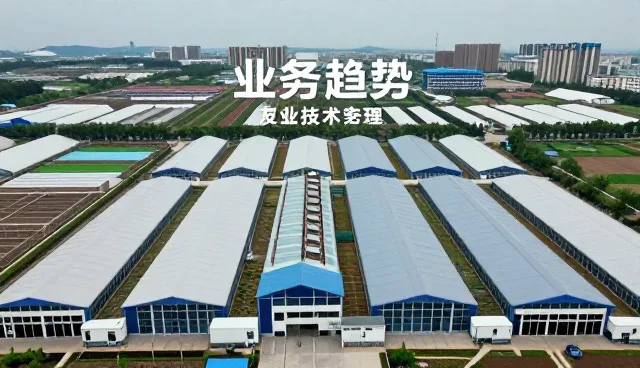 技术转让与咨询中如何注重性能与适用条件